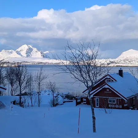 Seaview Pettvik